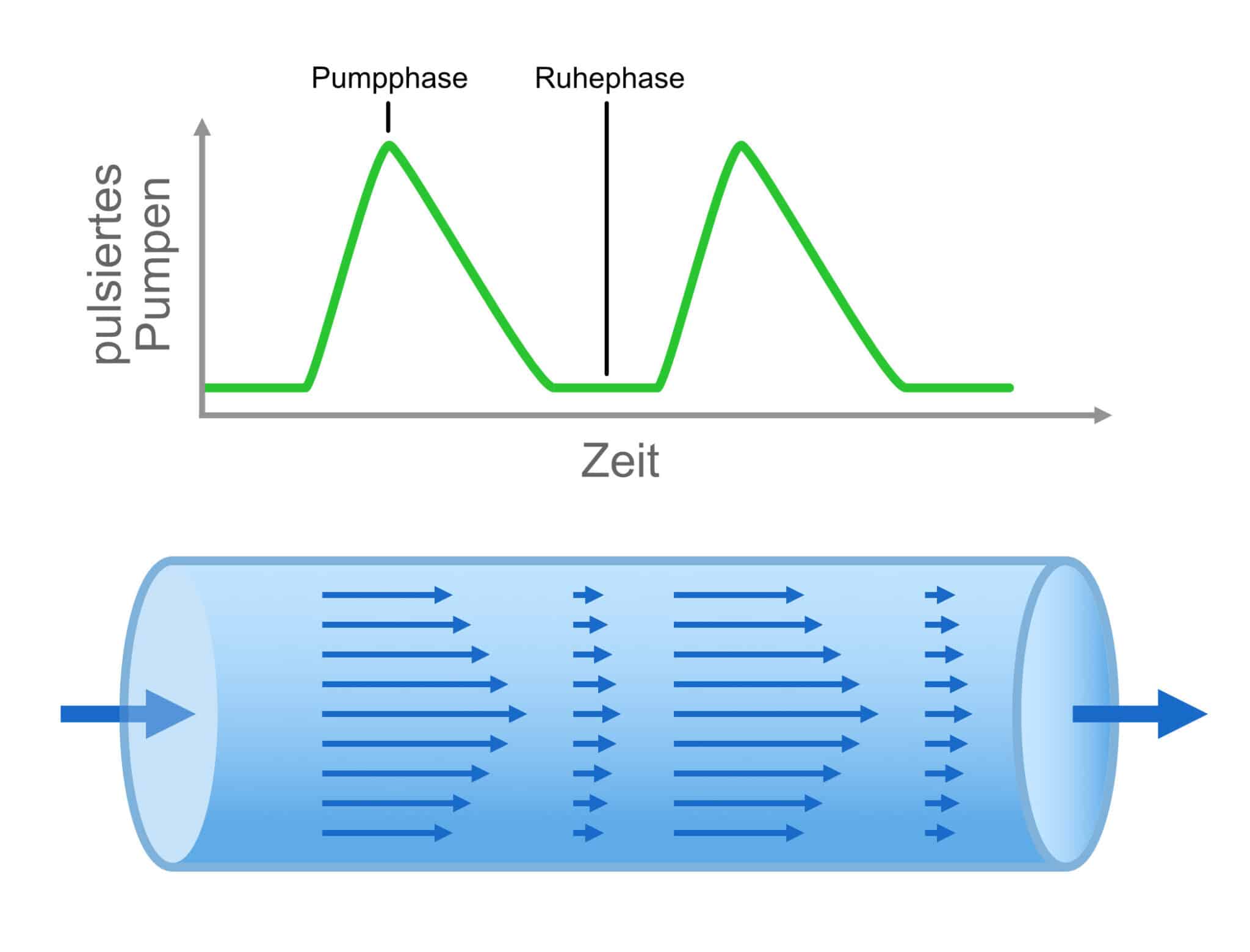 Pumpen wie das Herz – ChemieXtra – Die Fachzeitschrift der Chemiebranche